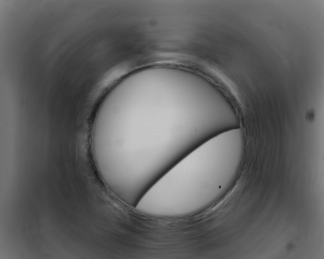 X0000102481411200808081022