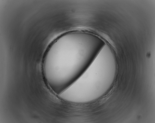 X0000102481412200808081022