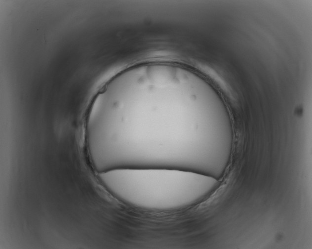 X0000102481413200808081022