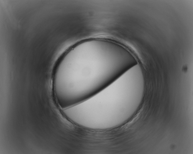 X0000102481414200808081022