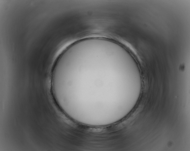 X0000102481415200808081022