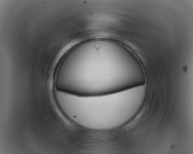 X0000102481418200808081022