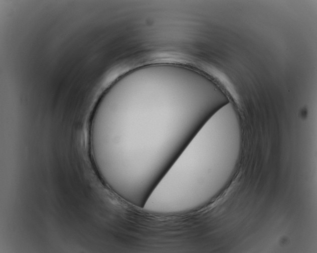 X0000102481419200808081022