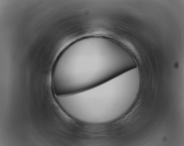 X0000102481420200808081022