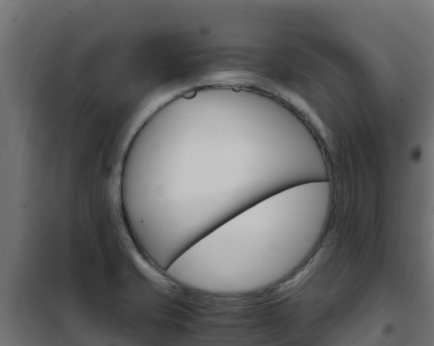 X0000102481421200808081022