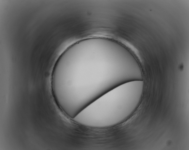 X0000102481423200808081022