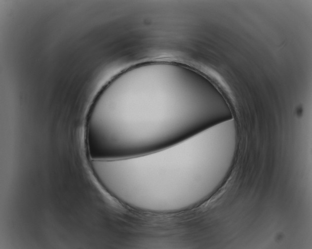 X0000102481424200808081022