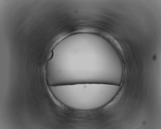 X0000102481425200808081022