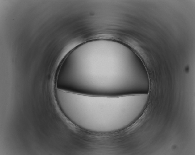 X0000102481426200808081022