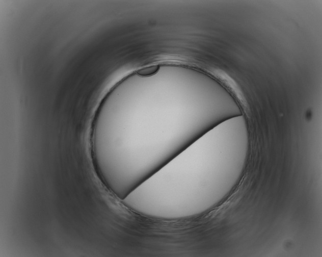 X0000102481427200808081022