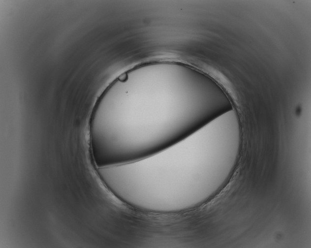 X0000102481428200808081022