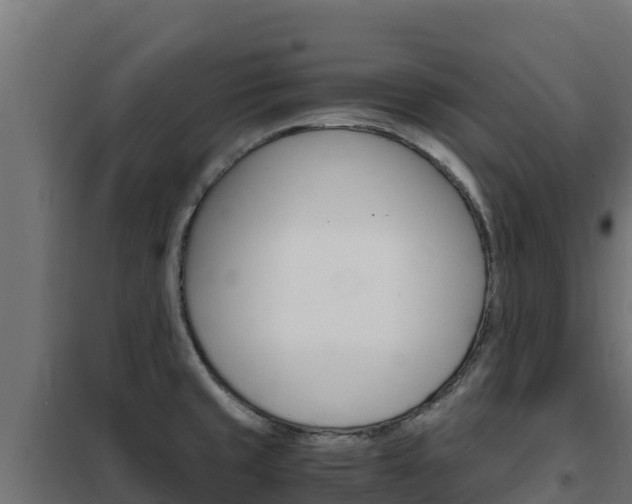 X0000102481429200808081022
