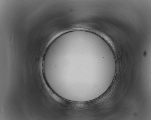 X0000102481431200808081022