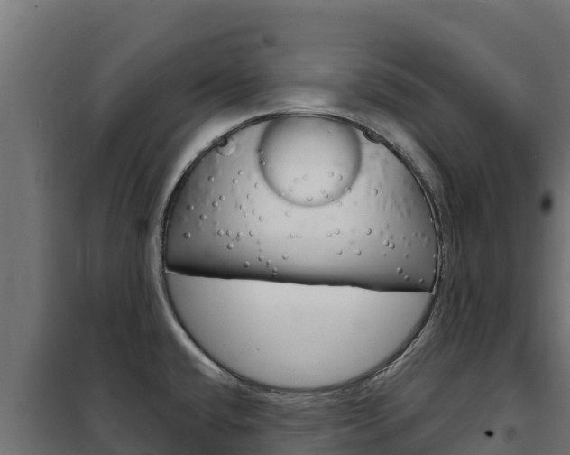 X0000102481432200808081022