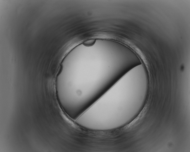 X0000102481433200808081022