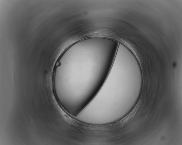 X0000102481434200808081022