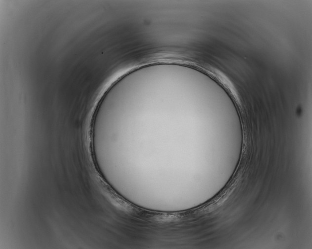 X0000102481435200808081022