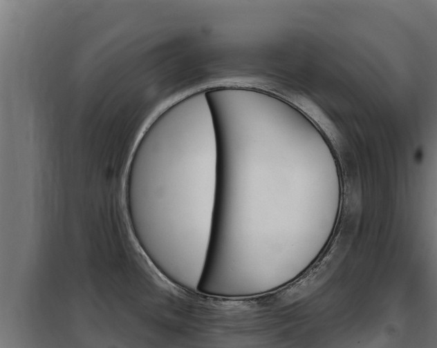 X0000102481436200808081022