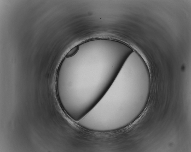X0000102481437200808081022