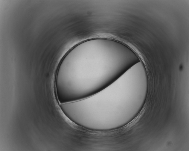 X0000102481438200808081022