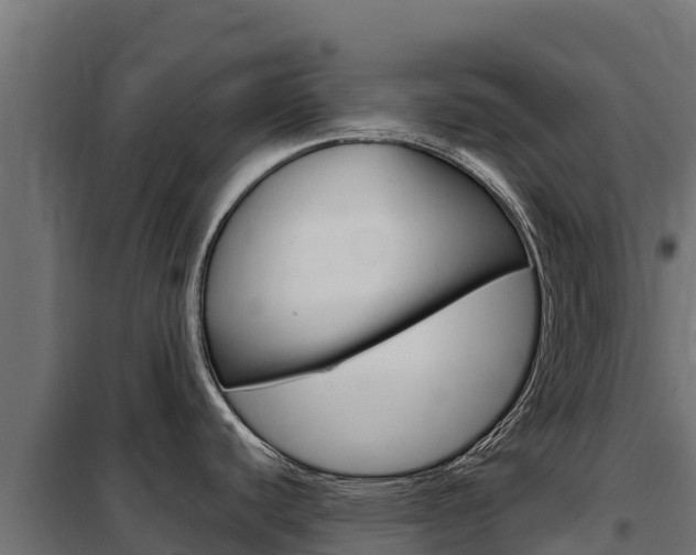 X0000102481440200808081022