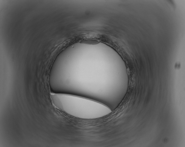 X0000102481441200808081022