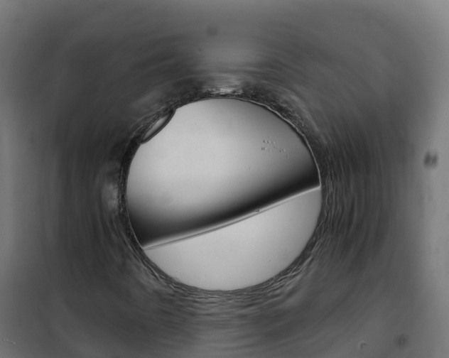 X0000102481442200808081022