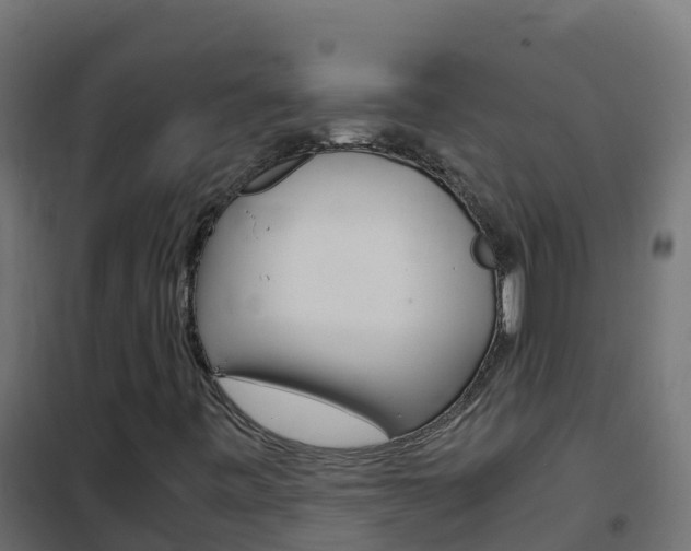 X0000102481443200808081022