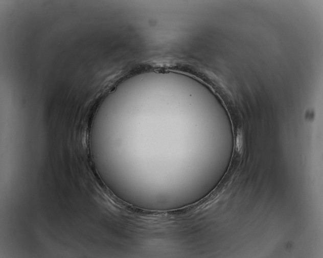 X0000102481444200808081022
