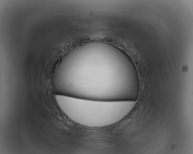 X0000102481445200808081022