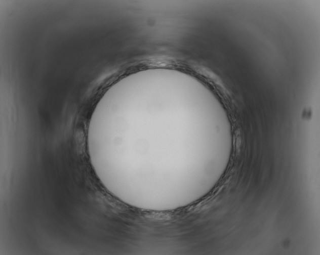 X0000102481446200808081022