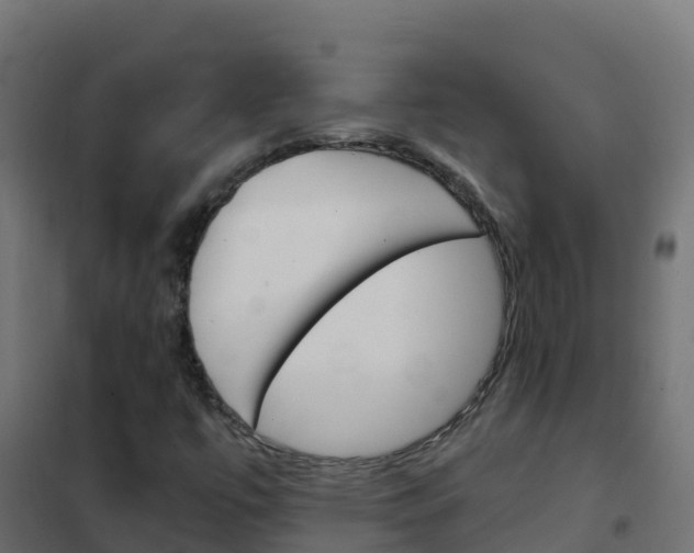 X0000102481447200808081022