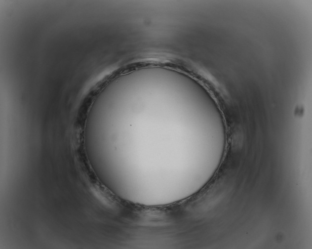 X0000102481448200808081022