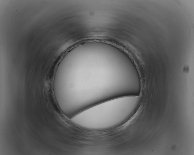 X0000102481449200808081022