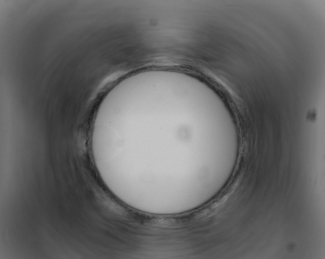 X0000102481451200808081022