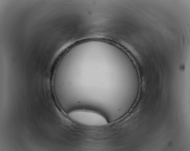 X0000102481452200808081021