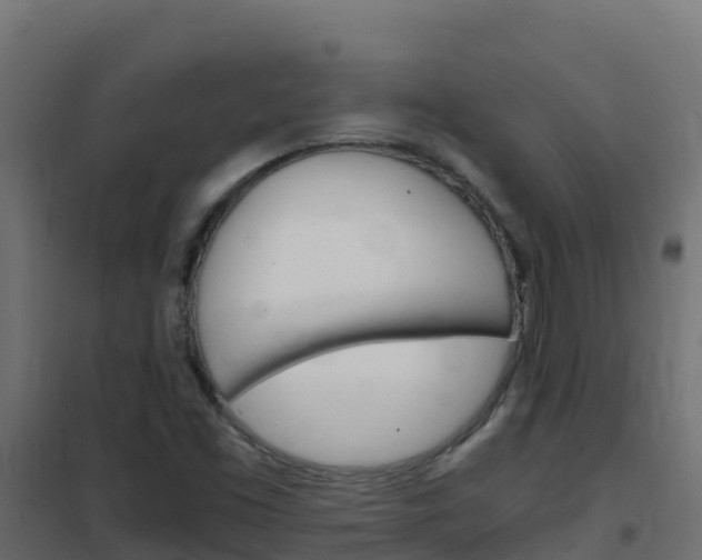 X0000102481453200808081021