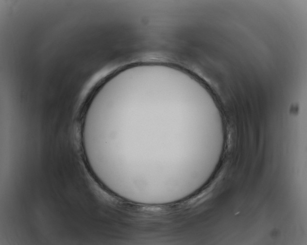 X0000102481454200808081021