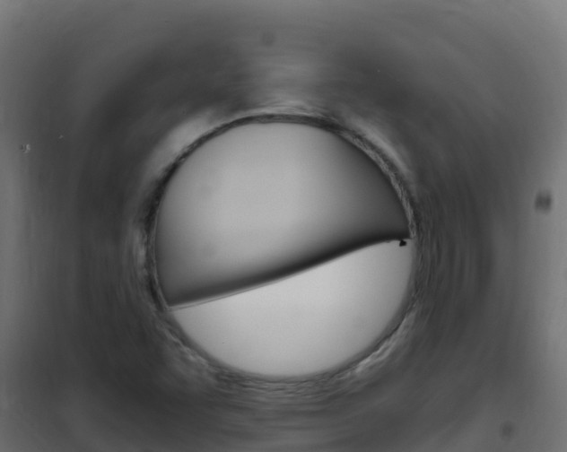 X0000102481455200808081021