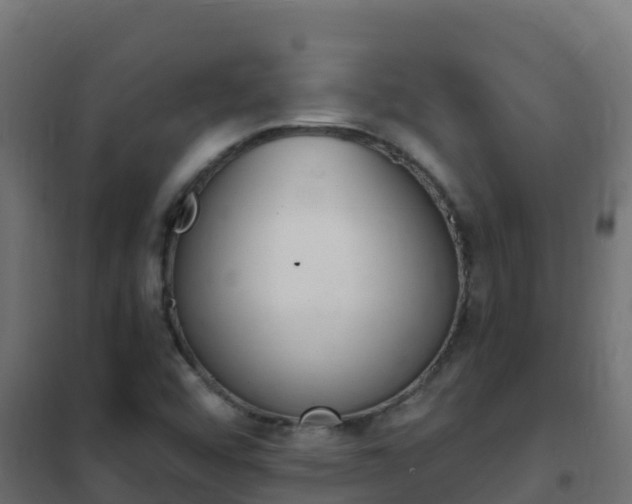 X0000102481456200808081021