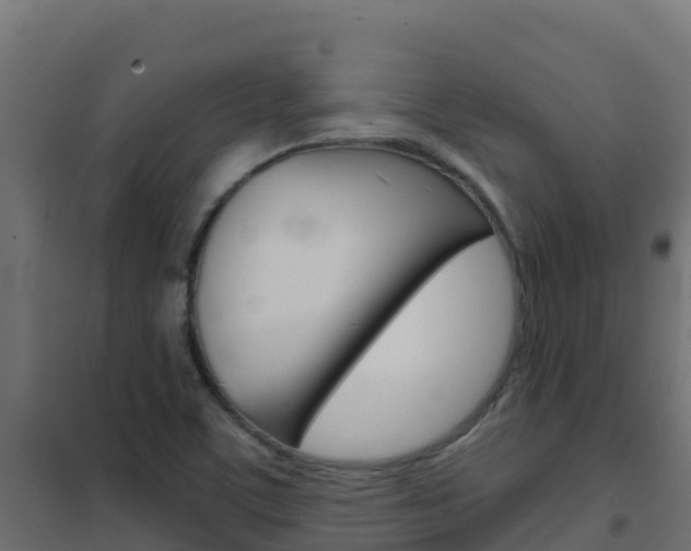 X0000102481459200808081021