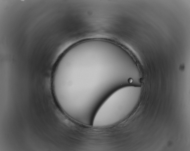 X0000102481460200808081021