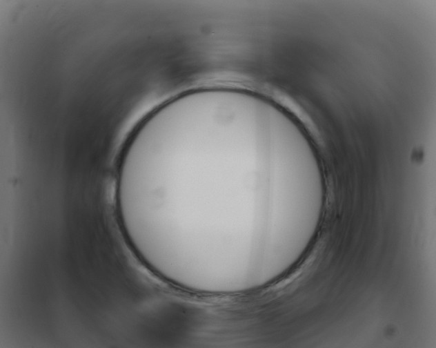 X0000102481462200808081021