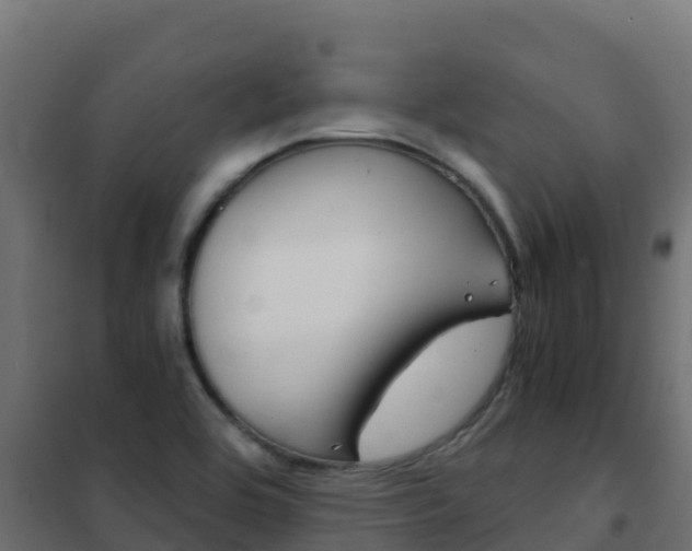 X0000102481464200808081021