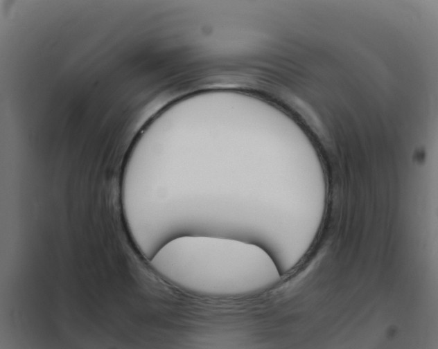 X0000102481465200808081021