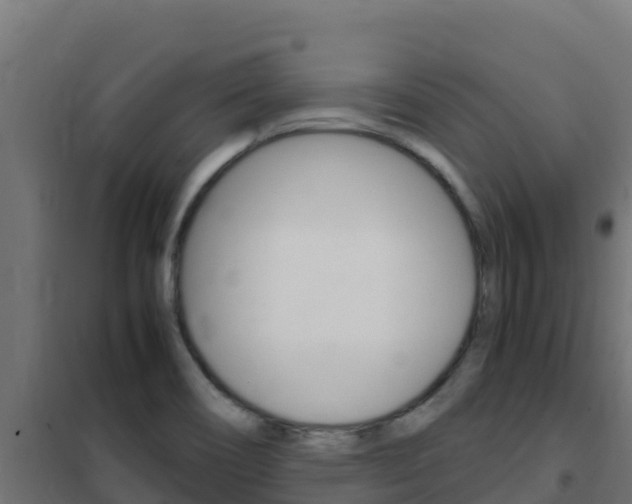 X0000102481466200808081021