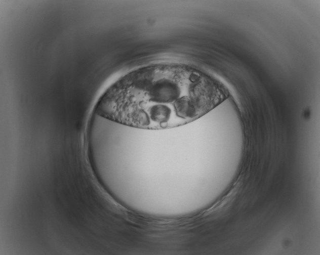X0000102481467200808081021