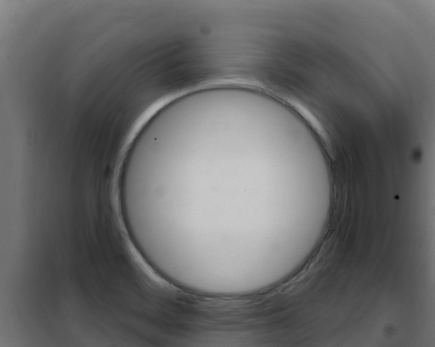 X0000102481468200808081021