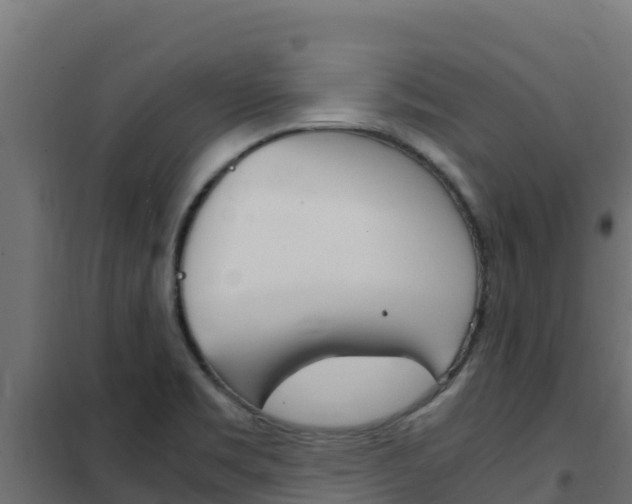 X0000102481469200808081021