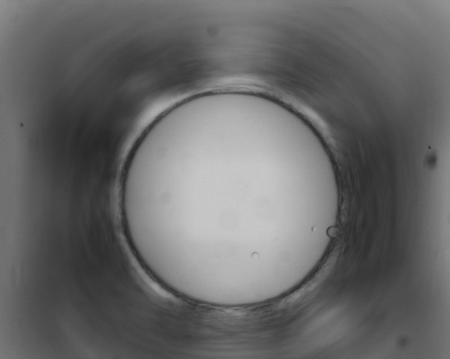 X0000102481470200808081021